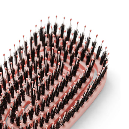 Peniculus Flexibrush Combo 12-delige displayset  Gemengde kleuren